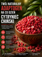 Karta produktu przedstawiająca cytryniec chiński jako naturalny adaptogen na co dzień, z czerwonymi owocami w drewnianej misie oraz informacjami o wsparciu odporności, koncentracji, energii i antyoksydacyjnej ochronie organizmu.