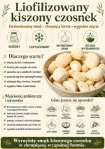 Infografika produktu liofilizowany kiszony czosnek – właściwości, zastosowanie i zalety chrupiącego fermentowanego czosnku do dań wytrawnych.