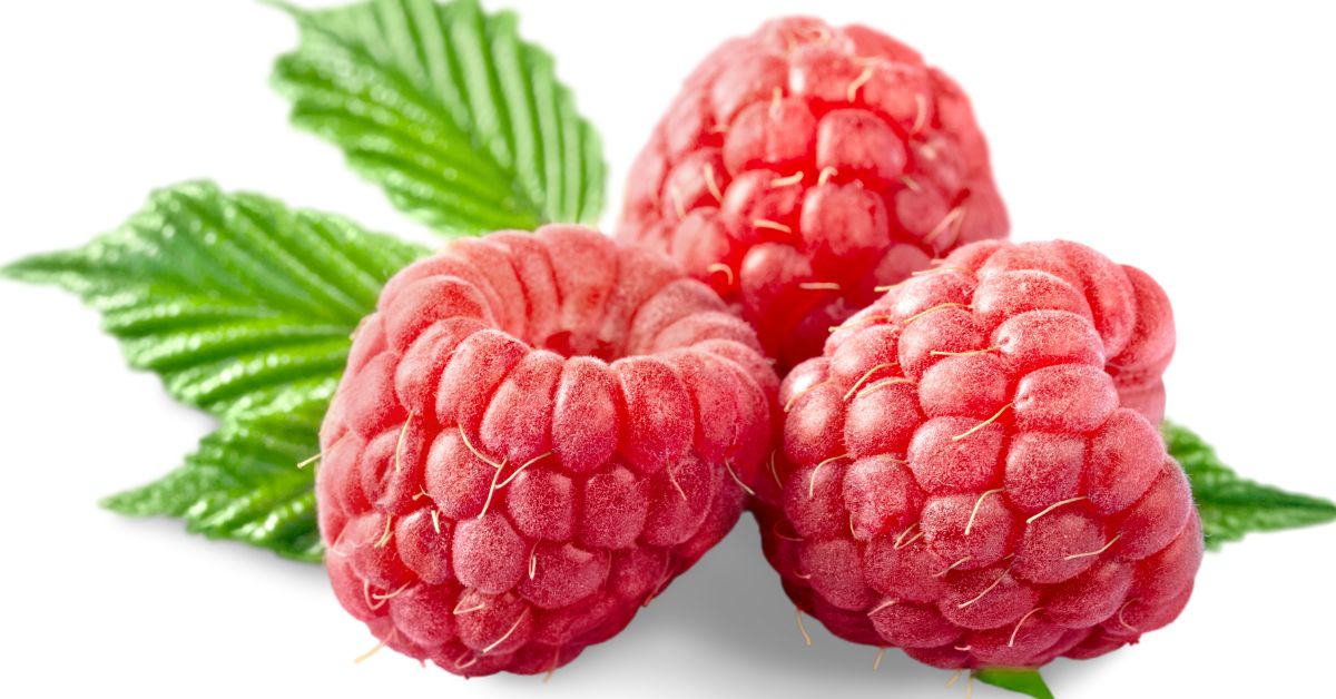 liofilizowana malina , źródło histydyny