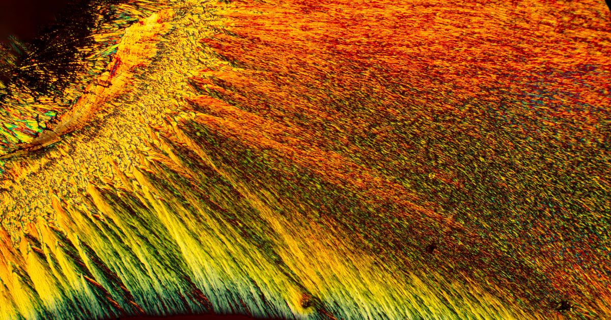 aminokwasy egzogenne