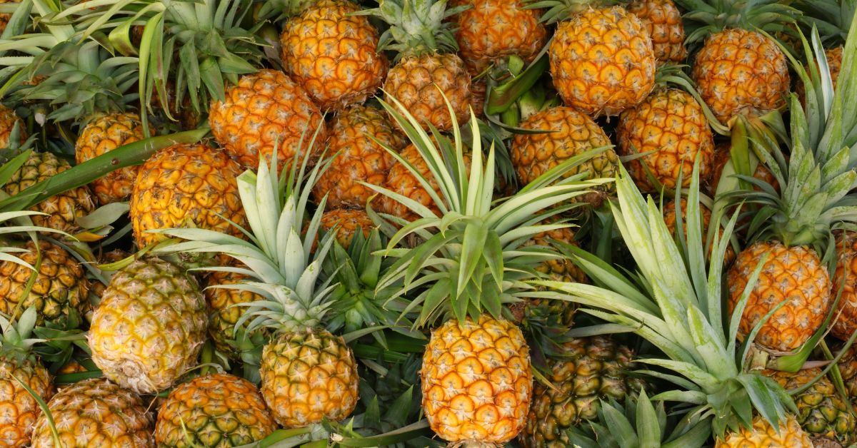 ananas