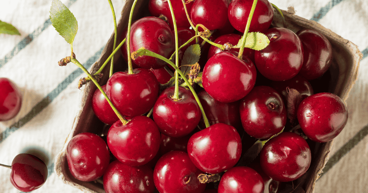 Czereśnie jako owoce wspierające jelita suche i wrażliwe oraz poprawiające komfort wypróżnień