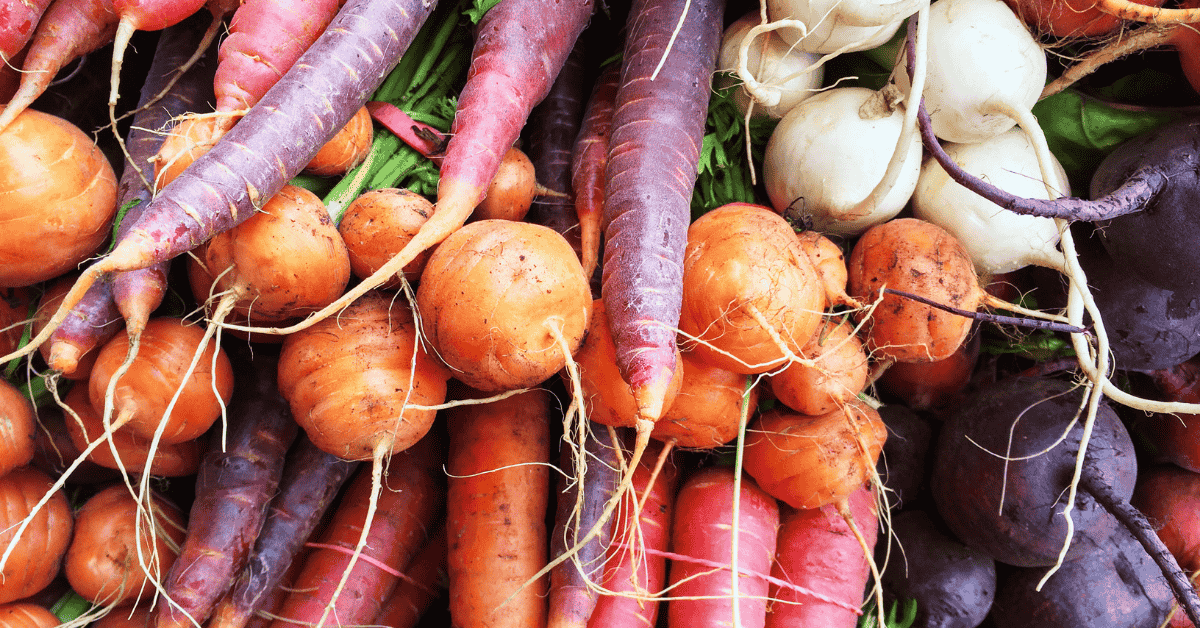 Warzywa korzeniowe wspierające perystaltykę jelit i regularność wypróżnień przy zaparciach