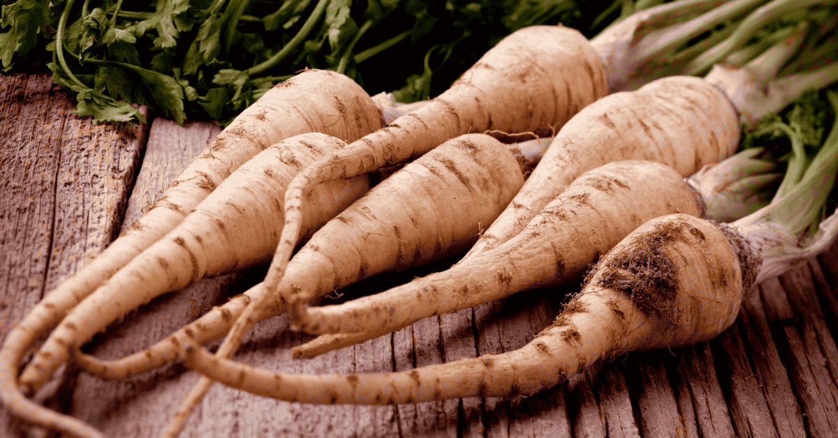 Korzeń pietruszki jako warzywo korzeniowe wspierające regularność jelit i perystaltykę przy zaparciach