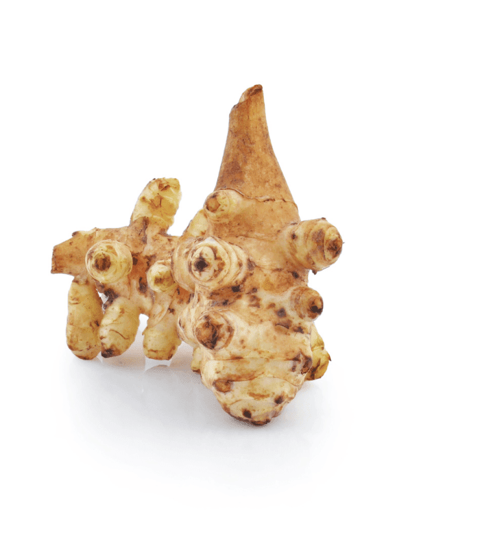 Korzeń topinamburu na białym tle, naturalne źródło inuliny i prebiotyków